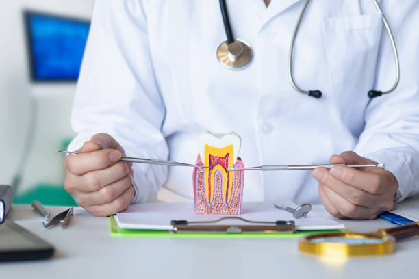 Best Emergency Tooth Extraction  in East Peoria, IL